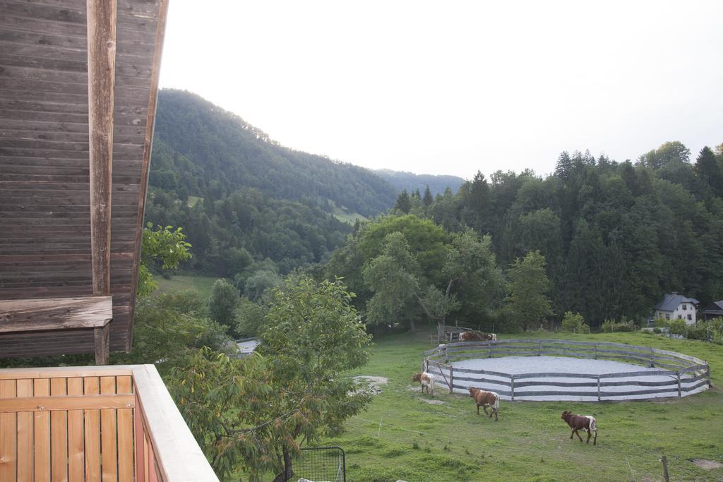 Apartments Pri Bostjanovcu Gorenja Vas  Exterior photo